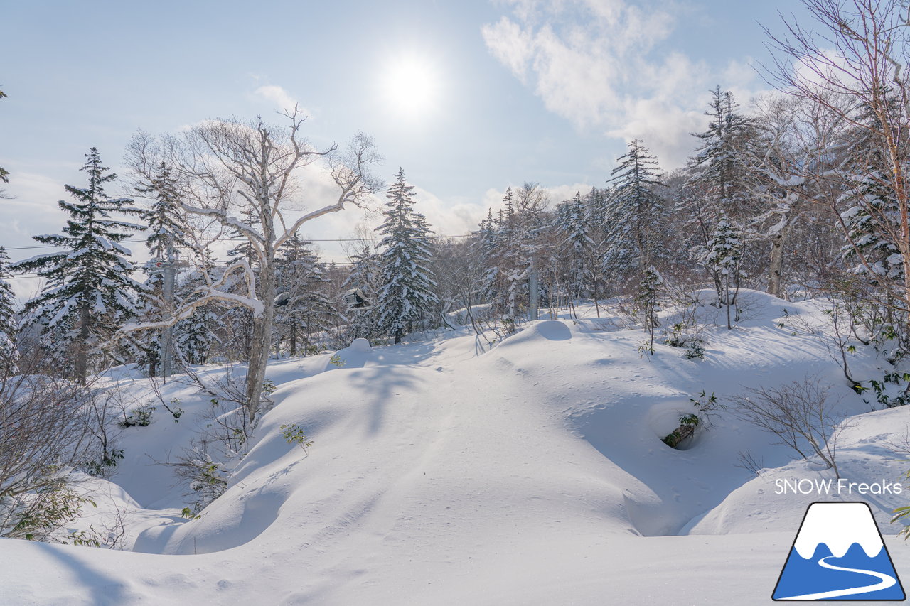 札幌国際スキー場｜積雪100cm超え！名物の急斜面『ダウンヒルコース』を含む、全てのコースが気持ち良～く滑走可能です(^^)/